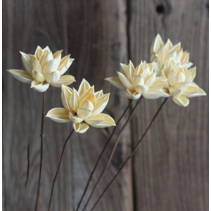 Glued Wood Flowers | Dried Flower Arrangement